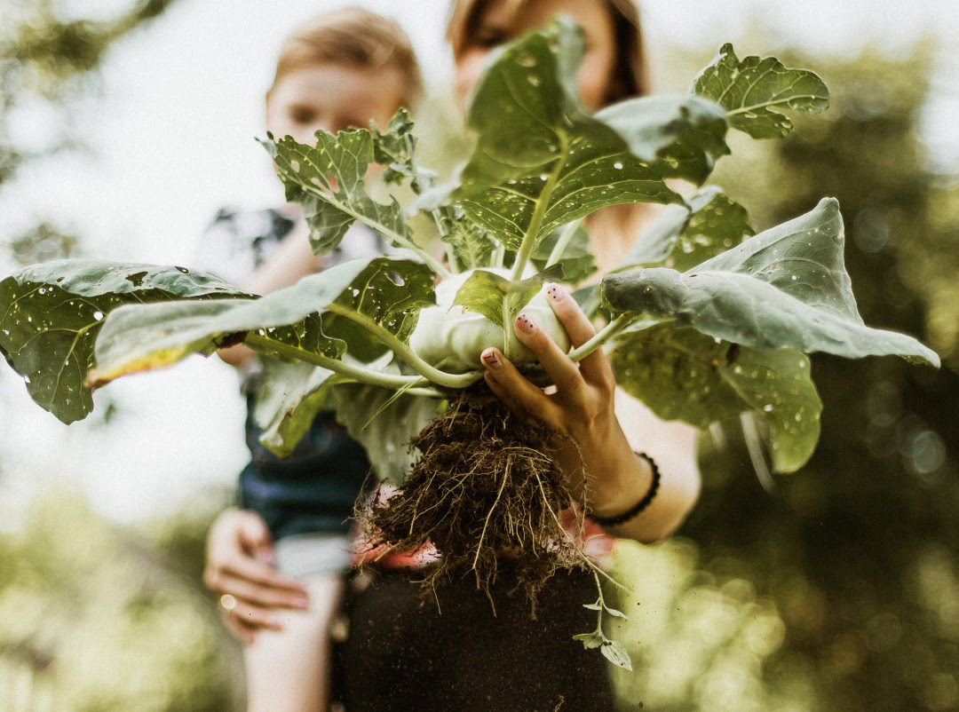 Ecstatic Dance Wave - DJ SeigeA - Integrity - photo by Daiga Ellaby